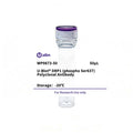 U-Blot® DRP1 (Phospho Ser637) Rabbit Polyclonal Antibody – Figure 1 of 1