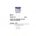 U-Blot® Tau (Phospho Ser422) Rabbit Polyclonal Antibody – Figure 1 of 1