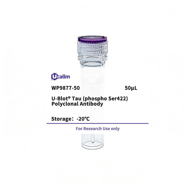 U-Blot® Tau (Phospho Ser422) Rabbit Polyclonal Antibody – Figure 1 of 1