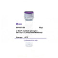 U-Blot® Stat5a/b (Phospho Ser726/731) Rabbit Polyclonal Antibody – Figure 1 of 1