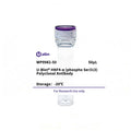 U-Blot® HNF4-α (Phospho Ser313) Rabbit Polyclonal Antibody – Figure 1 of 1