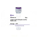 U-Blot® STAT6 (Phospho Tyr641) Rabbit Monoclonal Antibody – Figure 1 of 1