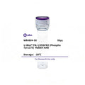 U-Blot® Flk-1/VEGFR2 (Phospho Tyr1175) Rabbit Monoclonal Antibody – Figure 1 of 1