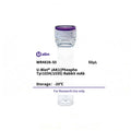 U-Blot® JAK1(Phospho Tyr1034/1035) Rabbit Monoclonal Antibody – Figure 1 of 1