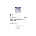 U-Blot® Neurofilament (NF-L) Rabbit Monoclonal Antibody – Figure 1 of 1