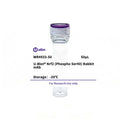 U-Blot® Nrf2 (Phospho Ser40) Rabbit Monoclonal Antibody – Figure 1 of 1