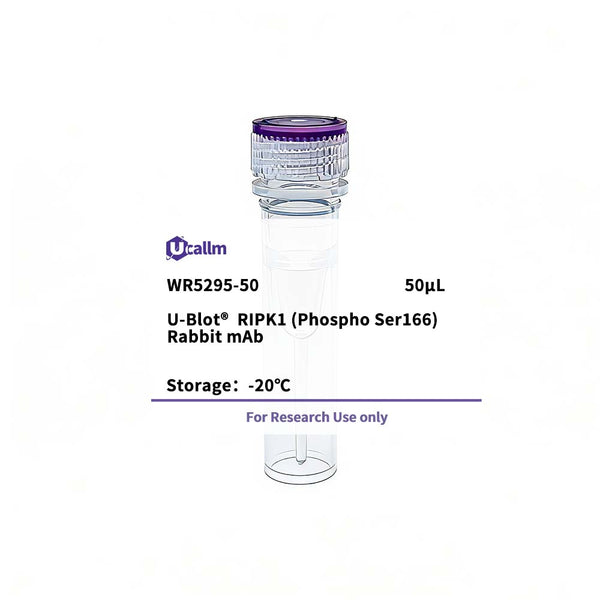 U-Blot® RIPK1 (Phospho Ser166) Rabbit Monoclonal Antibody – Figure 1 of 1