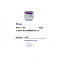 U-Blot® Midkine Rabbit Monoclonal Antibody – Figure 1 of 1