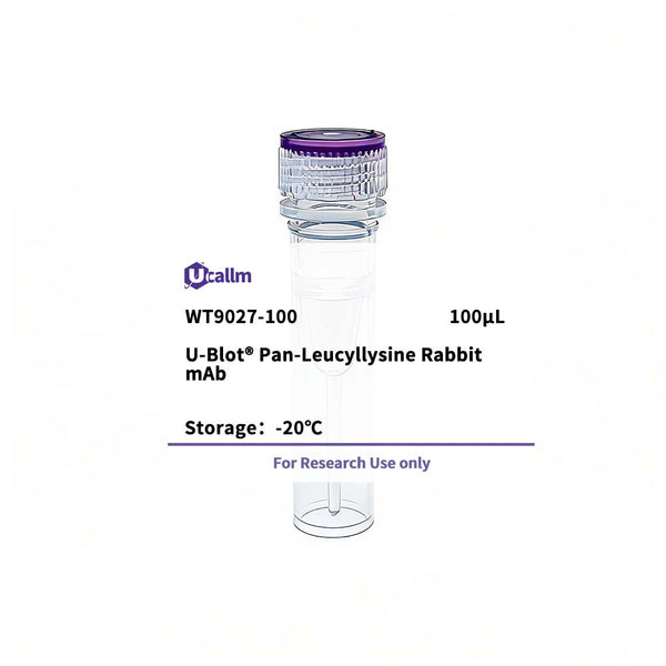 U-Blot® Pan-Leucyllysine Rabbit mAb – Figure 1 of 1