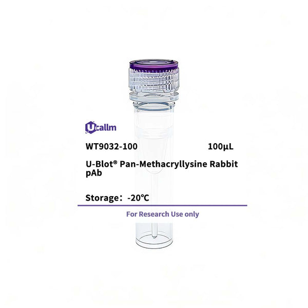 U-Blot® Pan-Methacryllysine Rabbit pAb – Figure 1 of 1