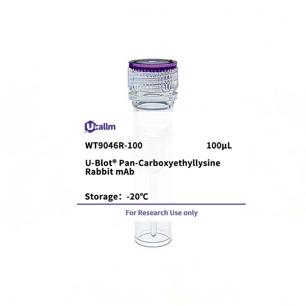 U-Blot® Pan-Carboxyethyllysine Rabbit mAb – Figure 1 of 1