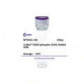 U-Blot® FADD (phospho S194) Rabbit mAb – Figure 1 of 1