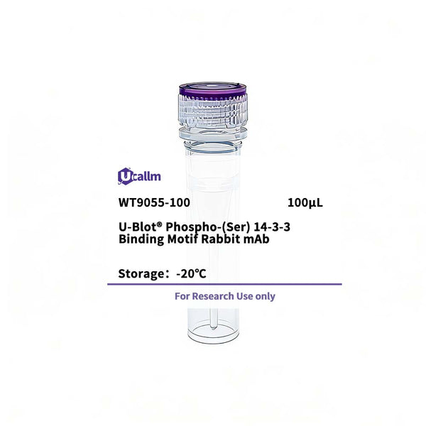 U-Blot® Phospho-(Ser) 14-3-3 Binding Motif Rabbit mAb – Figure 1 of 1