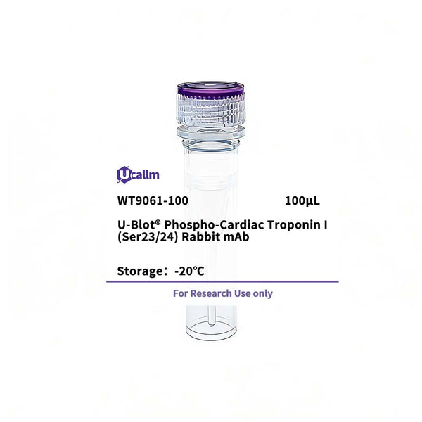 U-Blot® Phospho-Cardiac Troponin I (Ser23/24) Rabbit mAb – Figure 1 of 1