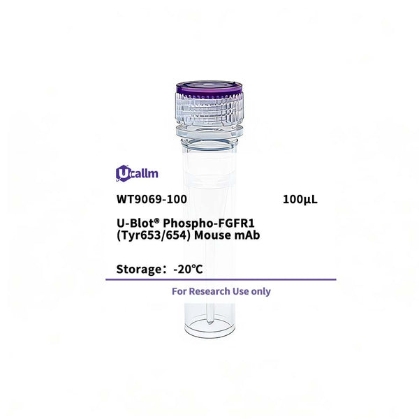U-Blot® Phospho-FGFR1 (Tyr653/654) Mouse mAb – Figure 1 of 1