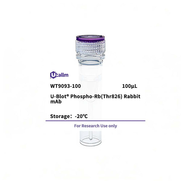 U-Blot® Phospho-Rb(Thr826) Rabbit mAb – Figure 1 of 1