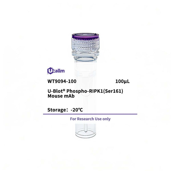 U-Blot® Phospho-RIPK1(Ser161) Mouse mAb – Figure 1 of 1