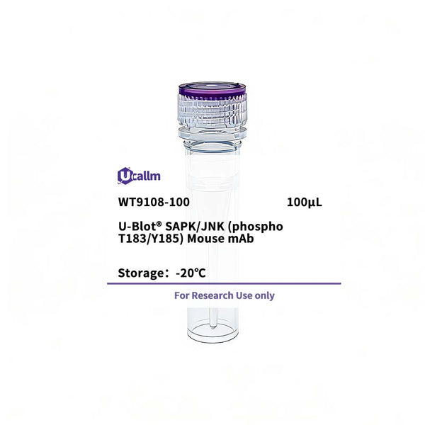 U-Blot® SAPK/JNK (phospho T183/Y185) Mouse mAb – Figure 1 of 1