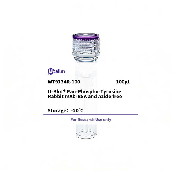 U-Blot® Pan-Phospho-Tyrosine Rabbit mAb-BSA and Azide free – Figure 1 of 1