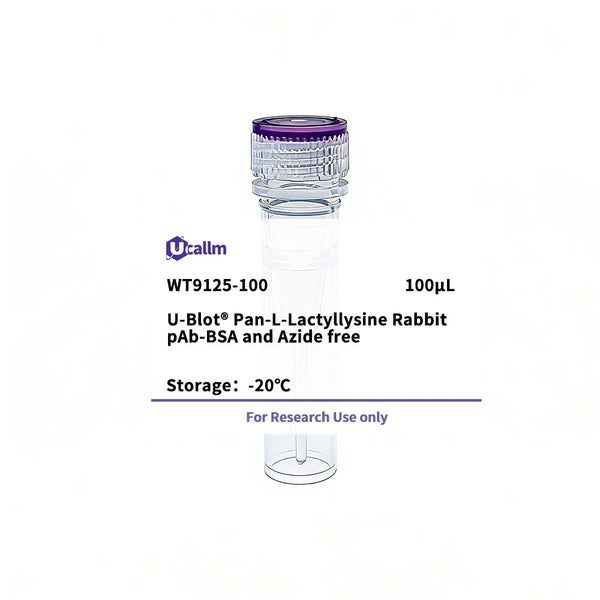 U-Blot® Pan-L-Lactyllysine Rabbit pAb-BSA and Azide free – Figure 1 of 1