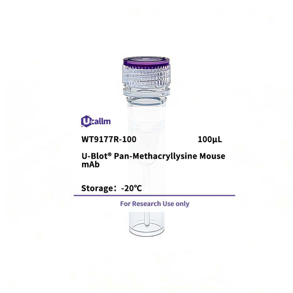 U-Blot® Pan-Methacryllysine Mouse mAb – Figure 1 of 1