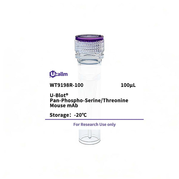 U-Blot® Pan-Phospho-Serine/Threonine Mouse mAb – Figure 1 of 1