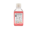 Mouse Keratinocyte Differentiation Medium – Figure 1 of 1