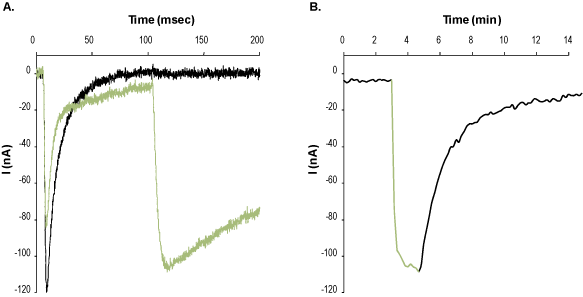 Veratridine – Figure 1 of 2