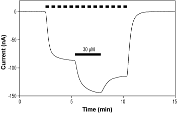 VU0529331 – Figure 1 of 2