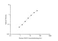 Mini Sample Human DAO (Diamine Oxidase) ELISA Kit – Figure 1 of 3
