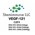 Recombinant Human VEGF-121 Protein – Figure 1 of 1