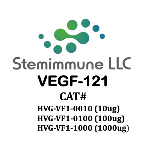 Recombinant Human VEGF-121 Protein – Figure 1 of 1