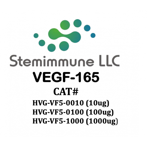 Recombinant Human VEGF-165 Protein – Figure 1 of 2