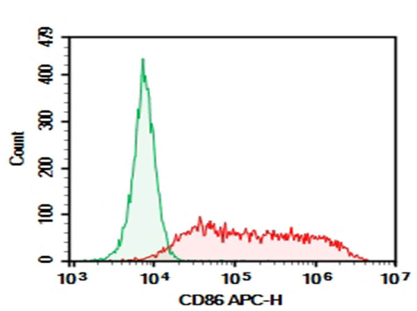 Purified Anti-Mouse CD86 Antibody[GL-1] – Figure 1 of 2