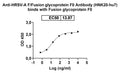 SDS-PAGE for Anti-HRSV-A F/Fusion glycoprotein F0 Antibody (HNK20-hu7)