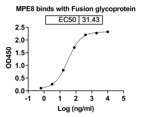 SDS-PAGE for Anti-HRSV-A F/Fusion glycoprotein F0 Antibody (MPE8).