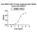 Detects Human respiratory syncytial virus F/Fusion glycoprotein F0 in indirect ELISAs.