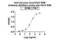 Detects B5R in indirect ELISAs.