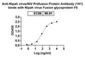 Detects Recombinant Nipah virus/HeV F/Fusion glycoprotein F0 Protein, C-His (Cat No.: VK521011) in indirect ELISA.