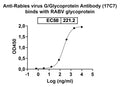 SEC-HPLC detection for Anti-Rabies virus G/Glycoprotein Antibody (17C7).