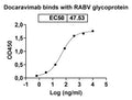 Anti-RABV Glycoprotein G Reference Antibody (Docaravimab) – Figure 1 of 1