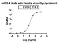 Detects Hendra virus Glycoprotein G in indirect ELISAs.