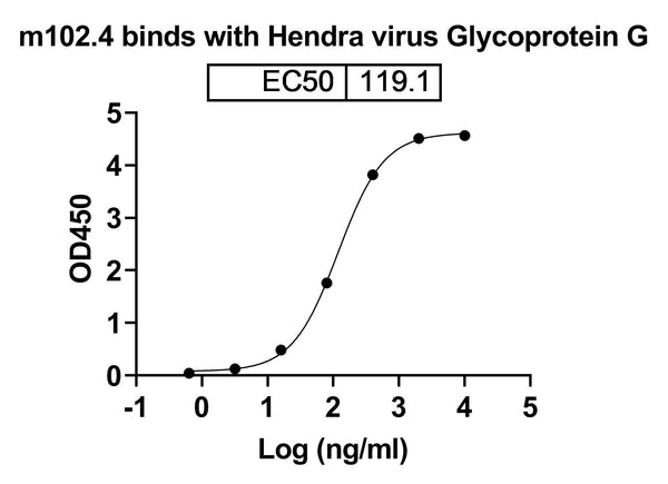 Detects Hendra virus Glycoprotein G in indirect ELISAs.