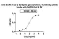 SDS-PAGE for InVivoMAb Anti-SARS-CoV-2 S2/Spike glycoprotein 2 Antibody (28D9)
