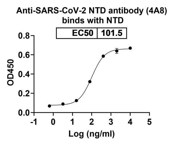 SDS-PAGE for Anti-SARS-CoV-2 NTD antibody (4A8).