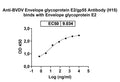 SDS-PAGE for Anti-BVDV Envelope glycoprotein E2/gp55 Antibody (H15)