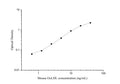 Uncoated Mouse OxLDL ( Oxidized Low Density Lipoprotein ) ELISA Kit – Figure 1 of 4
