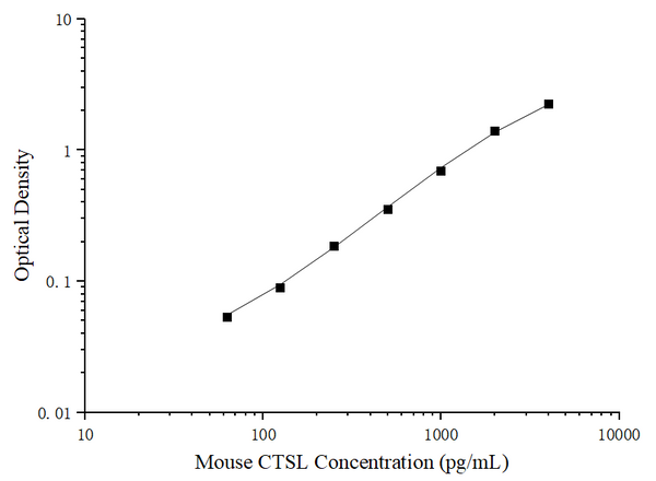 Uncoated Mouse CTSL (Cathepsin L) ELISA Kit – Figure 1 of 4