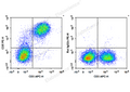PE Anti-Mouse CD5 Antibody[53-7.3] – Figure 1 of 2