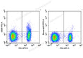 FITC Anti-Human CD25 Antibody[BC96] – Figure 1 of 2
